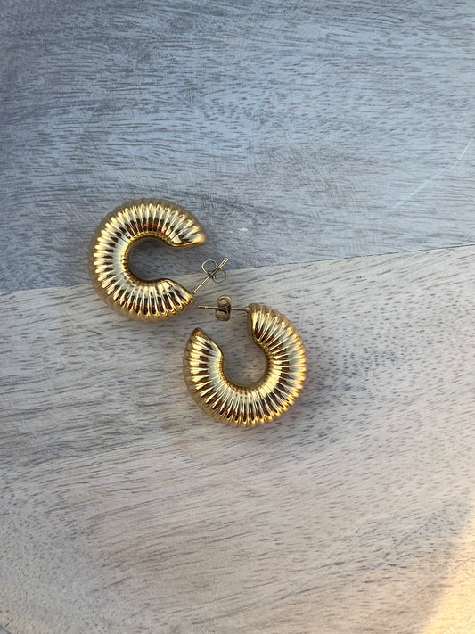Coral Earring